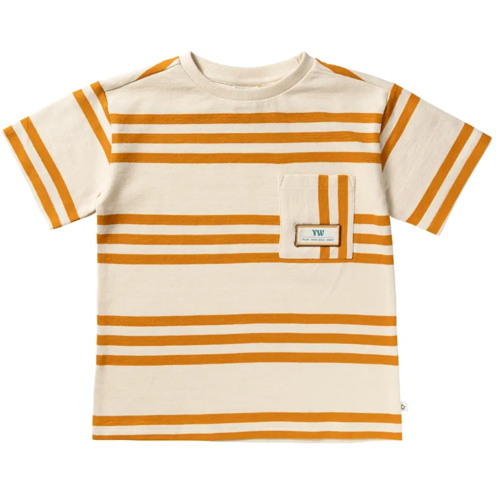 T-shirt oversized (multicolor)