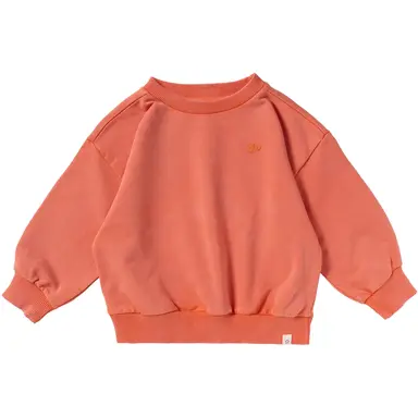 Trui germent dye (burnt sienna)