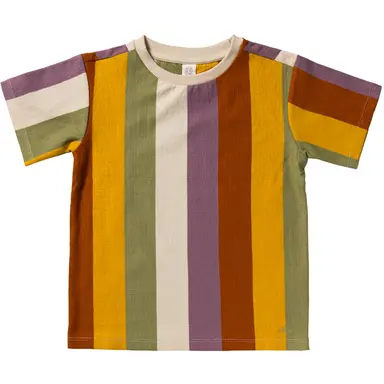 T-shirt Multi Stripe (multicolor)