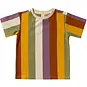Salted Stories T-shirt Multi Stripe (multicolor)