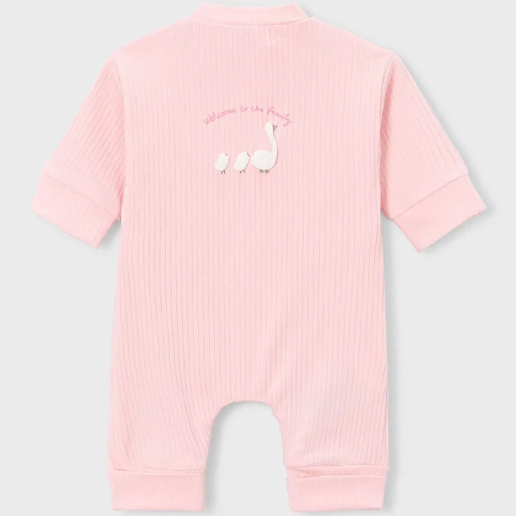 Boxpakje (baby rose)