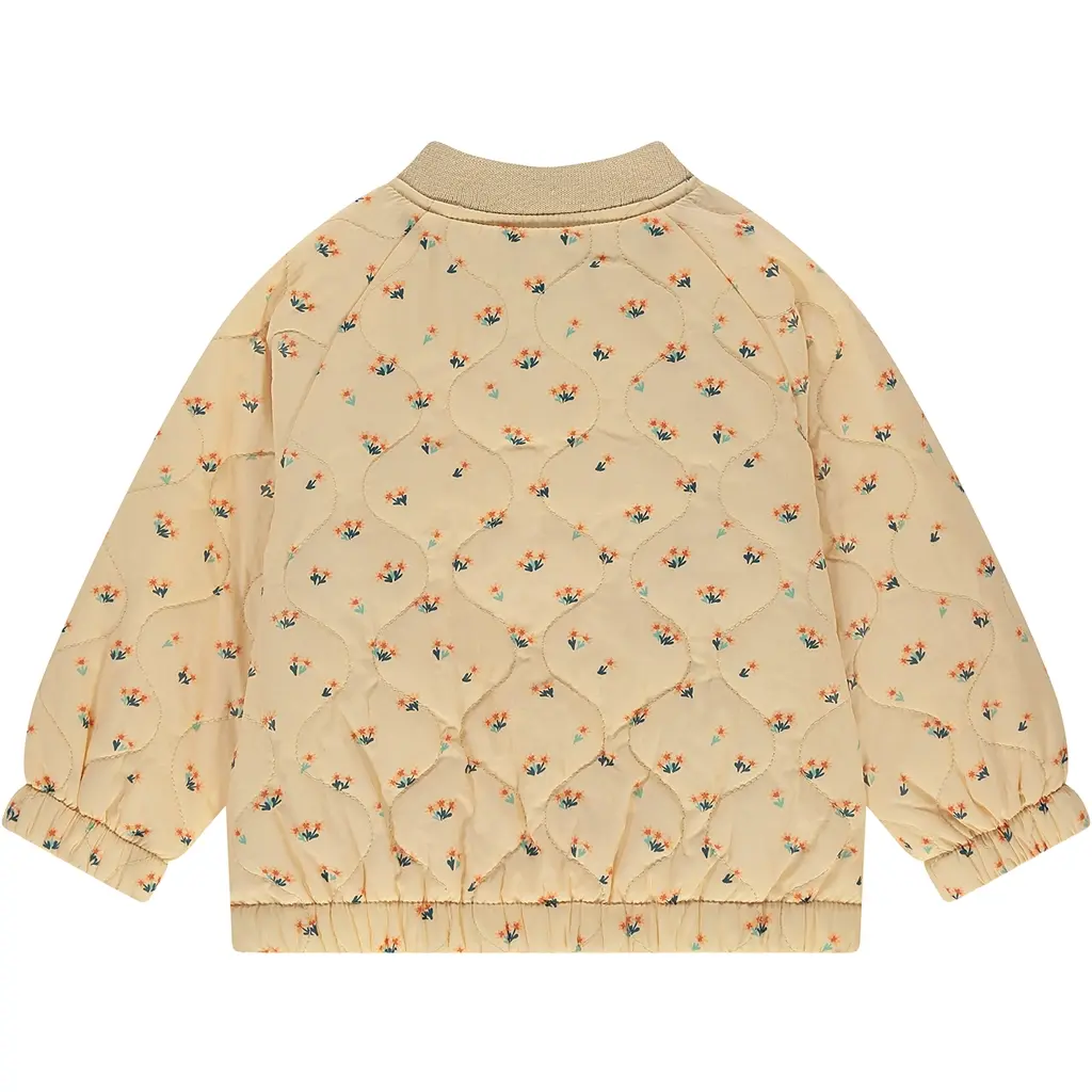 Zomerjasje (light orange)