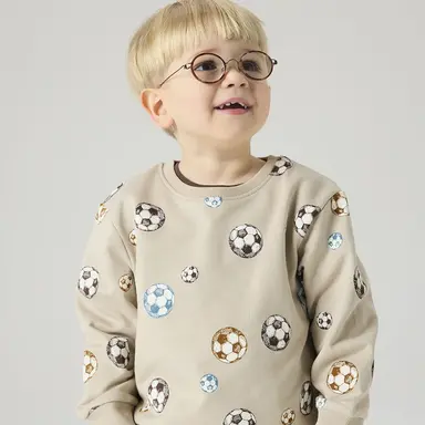 Truitje sweat Davis (pure cashmere)