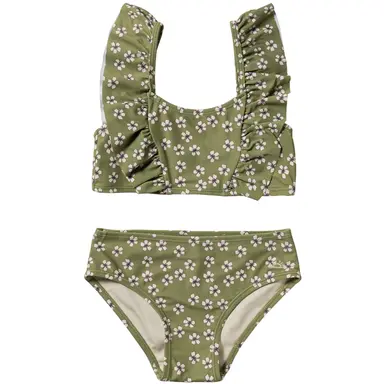 Bikini Primrose (iguana)