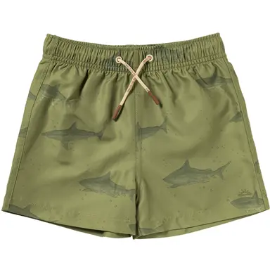 Zwembroek Shark (iguana)