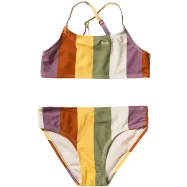 Bikini Multi Stripe (multicolor)