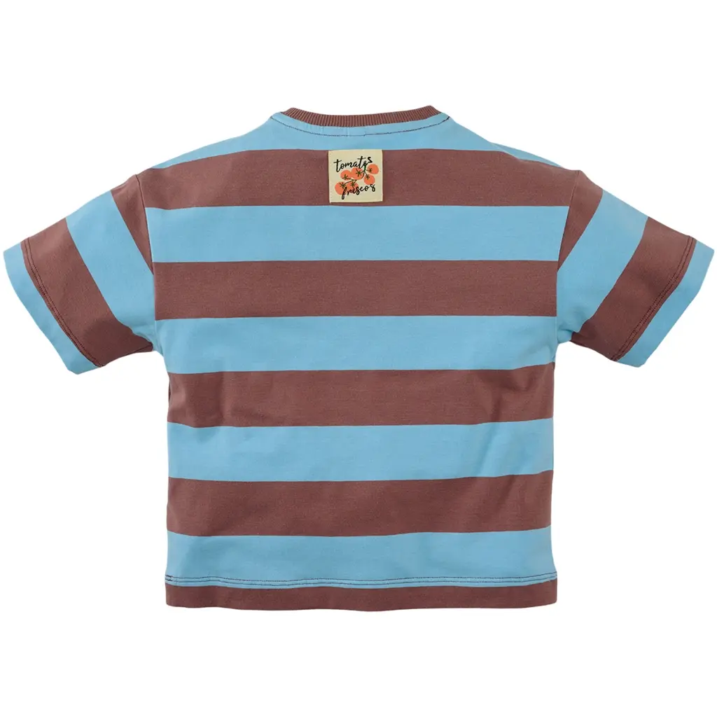 T-shirt strepen Zeyd (blush brown/surfing blue)
