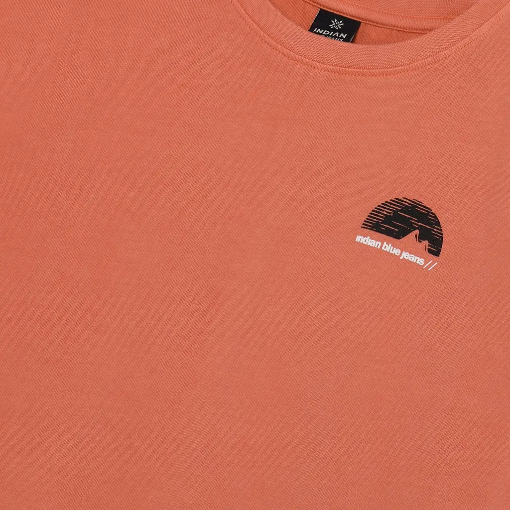 T-shirt washed (lantana)