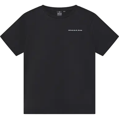 T-shirt loose fit (deep antra)