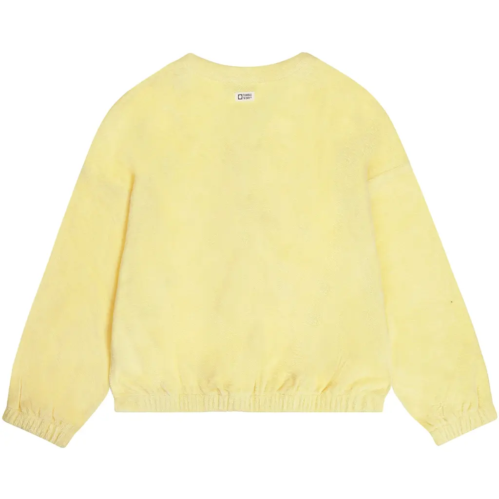 Vest Lemonade (lemon meringue)