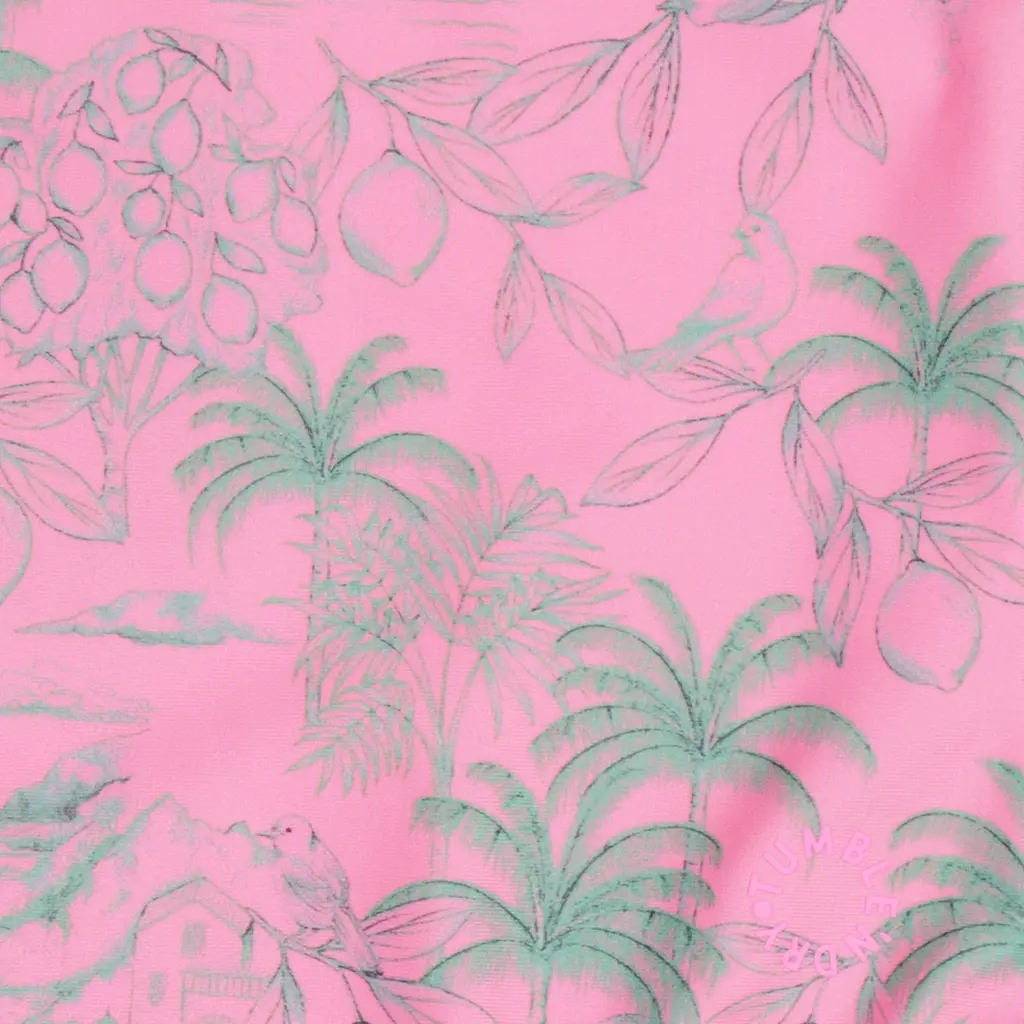 Badpak Palmas (morning glory)