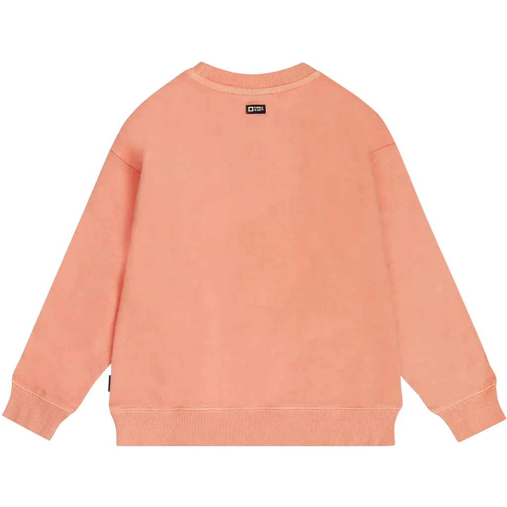 Trui Alice Springs backprint (fresh salmon)