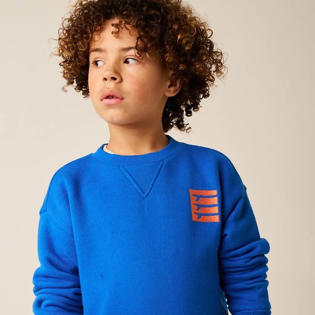 Trui Stokes Bay backprint (strong blue)