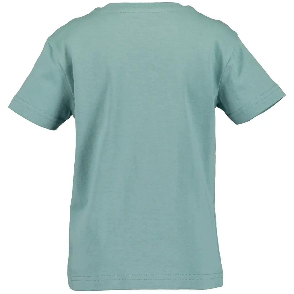 T-shirt (glacier)