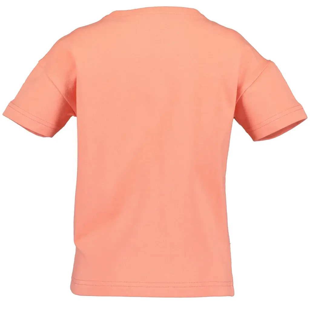 T-shirt (salmon)