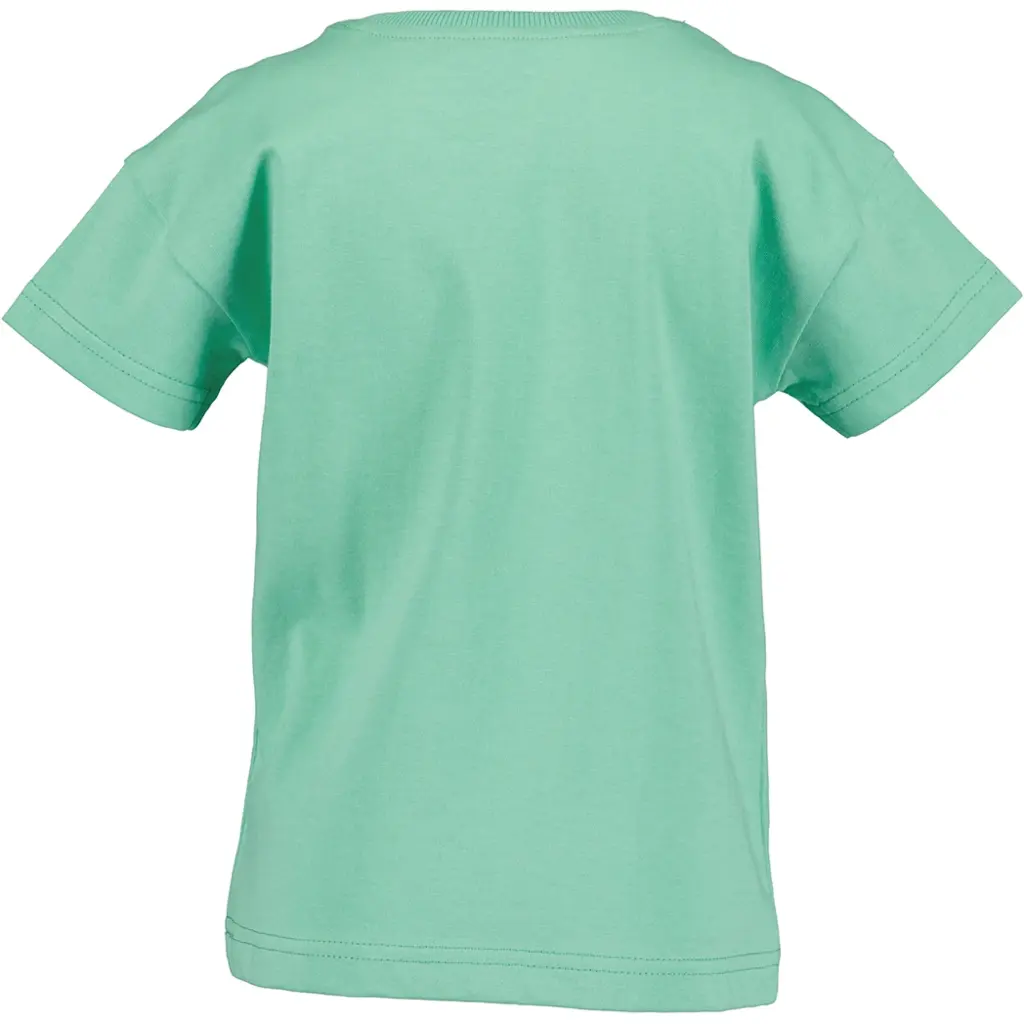 T-shirt (lt green)