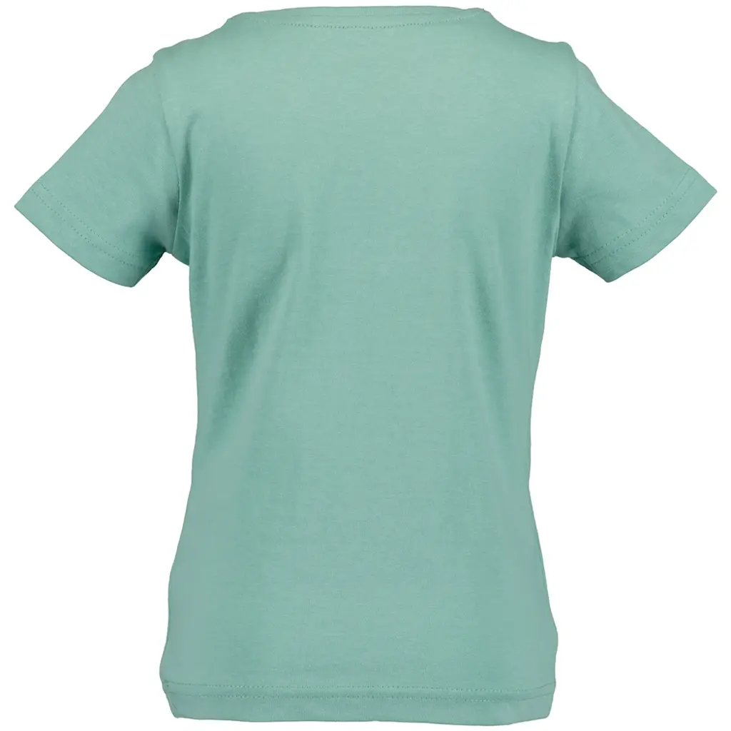 T-shirt (glacier)