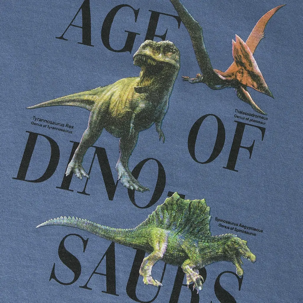 Longsleeve Sikkalan (vintage indigo)