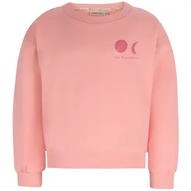 Trui Donnie backprint (salmon)