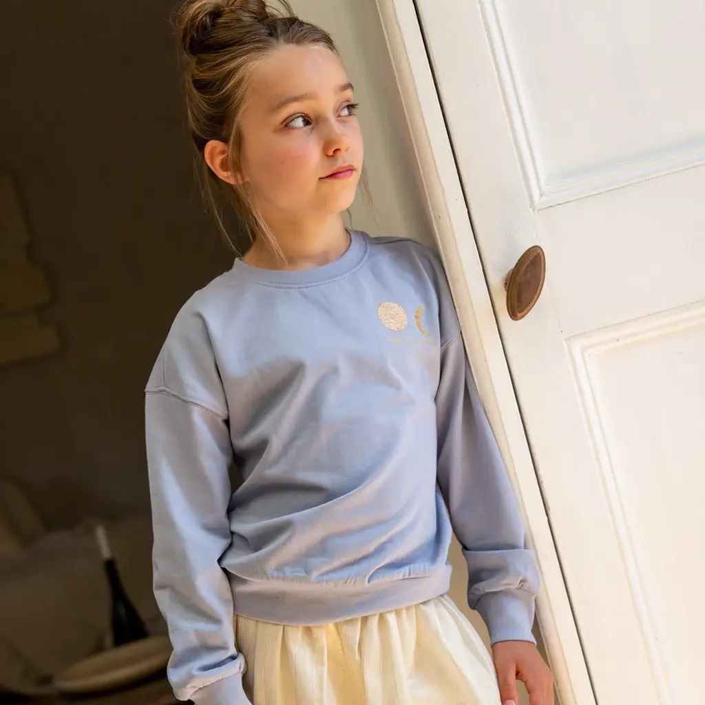 Trui Donnie backprint oversized (light blue)