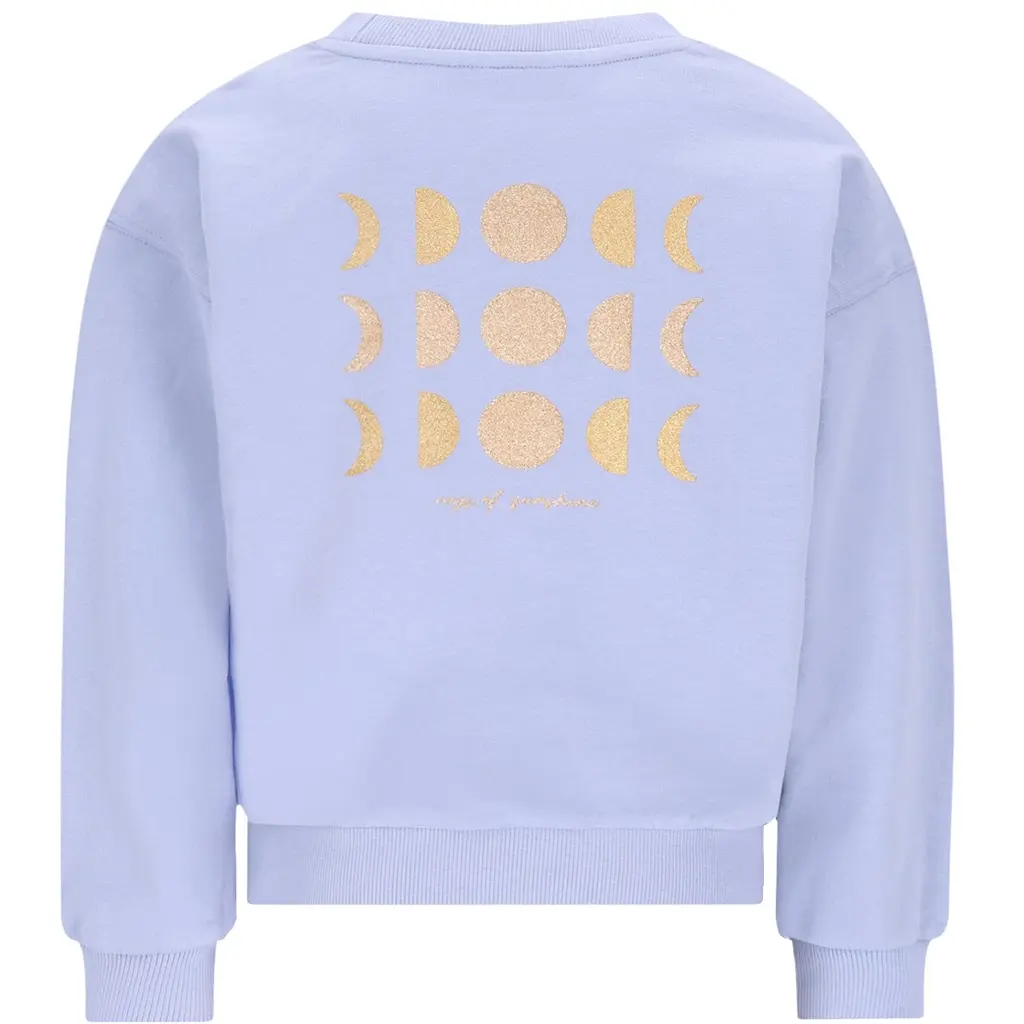 Trui Donnie backprint oversized (light blue)