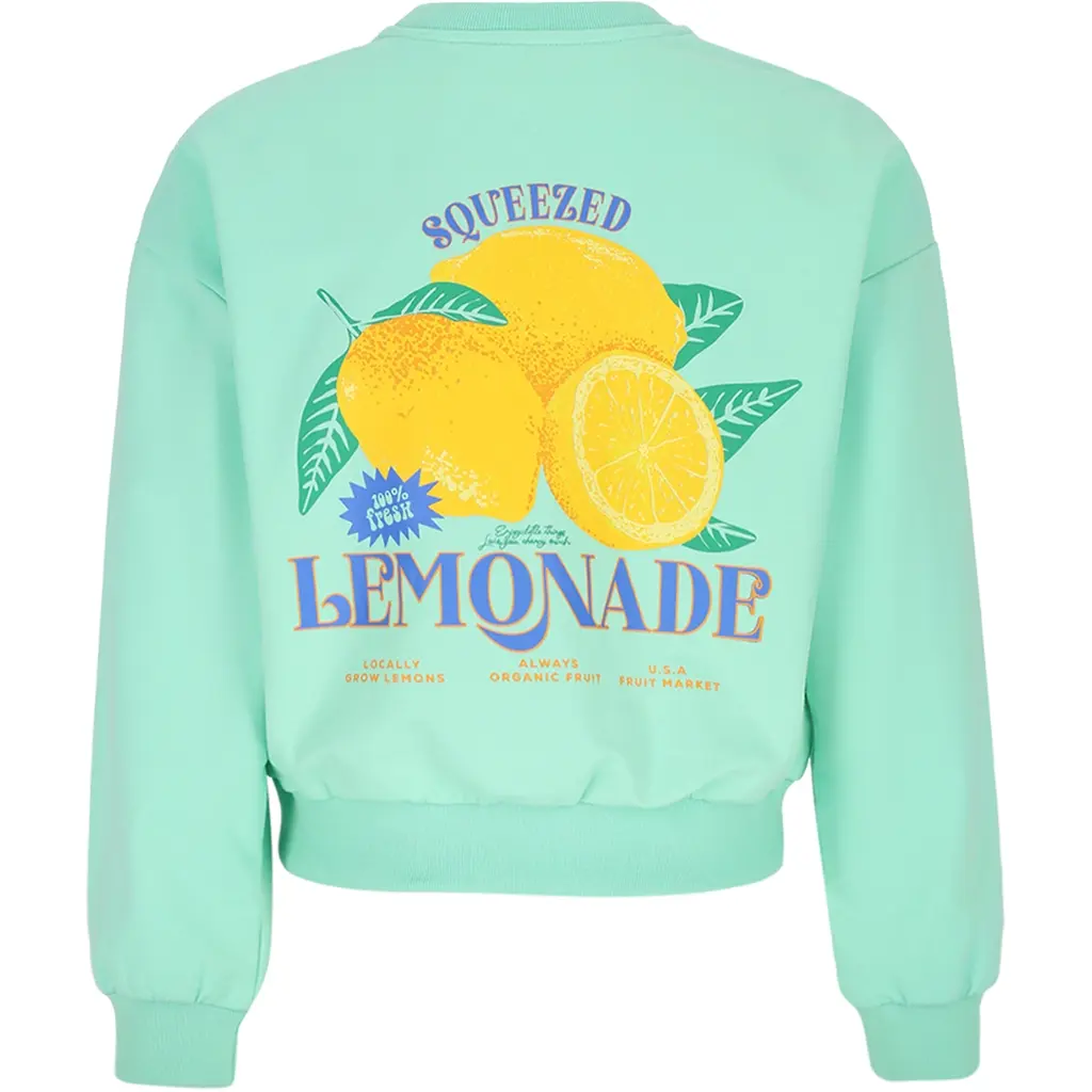 Trui Kim backprint (neptune green)