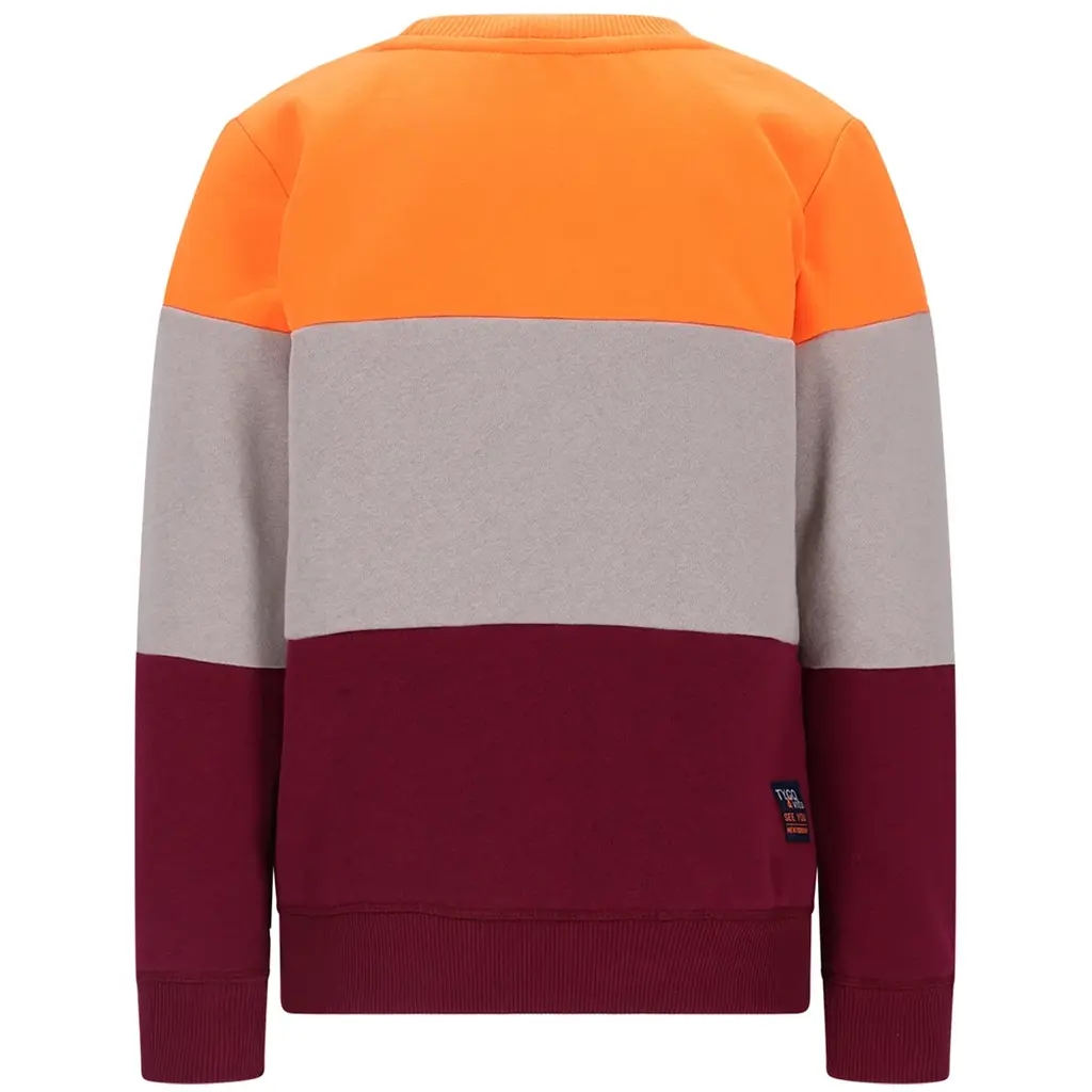 Trui Scott (orange clownfish)