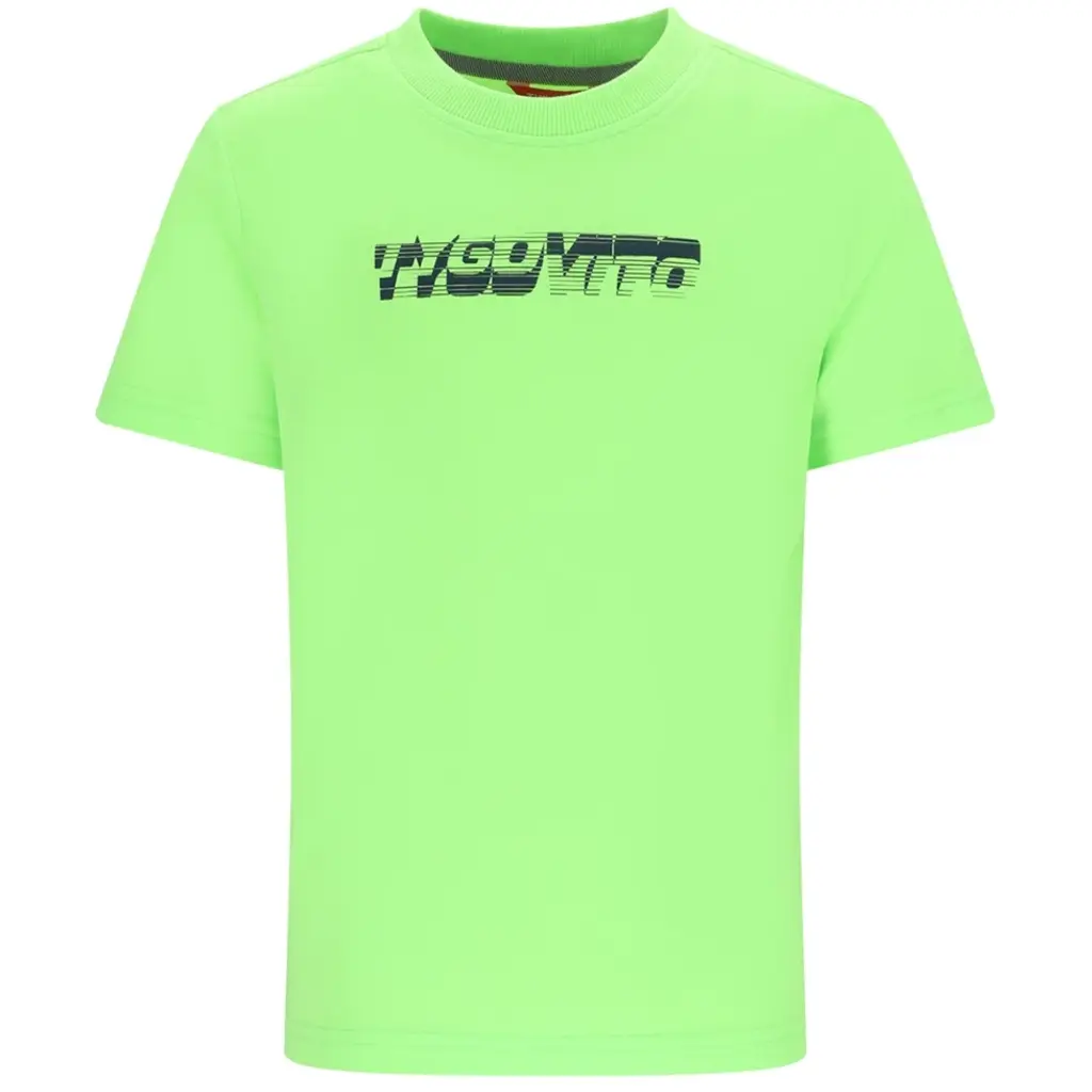 T-shirt James (green gecko)