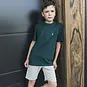 TYGO & Vito T-shirt Dolan (storm green)