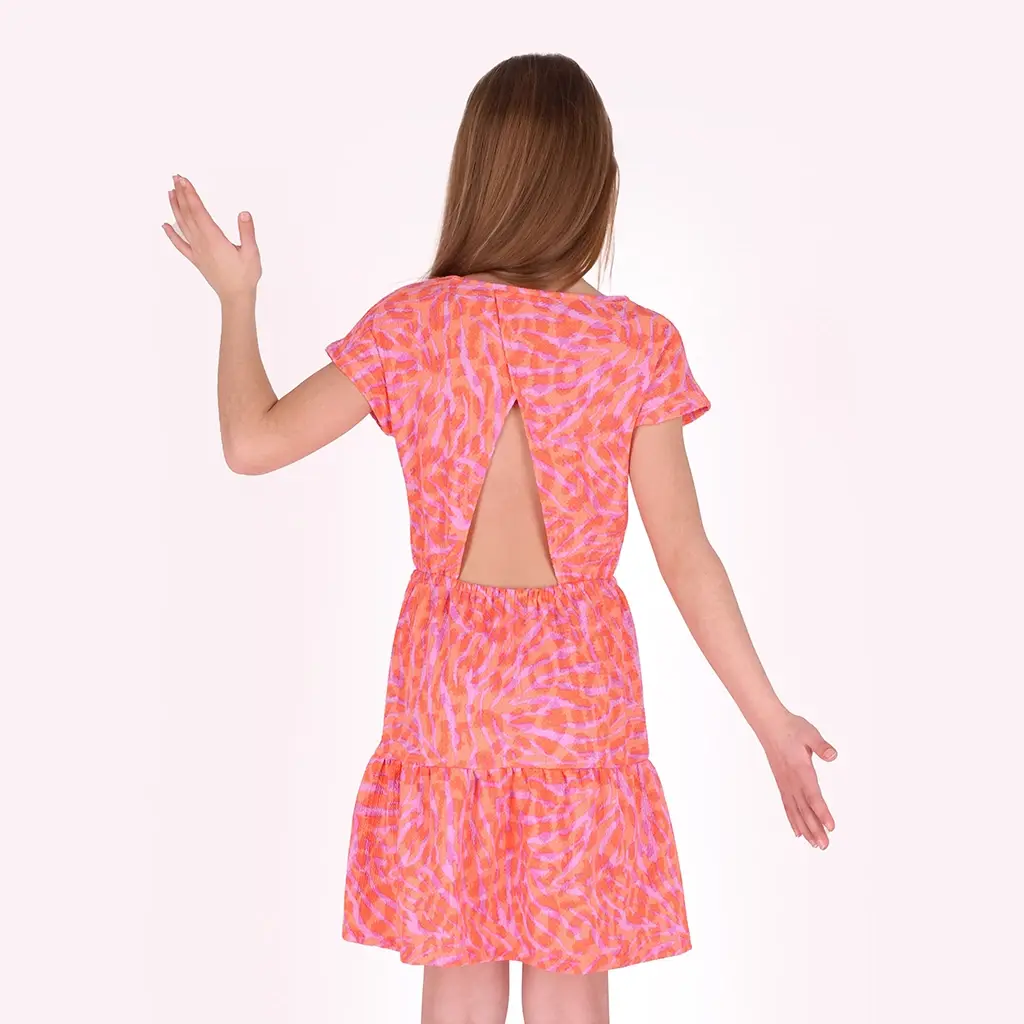 Jurk Darla (summer zebra)