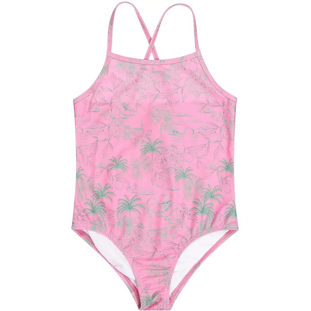 Badpak Palmas (morning glory)