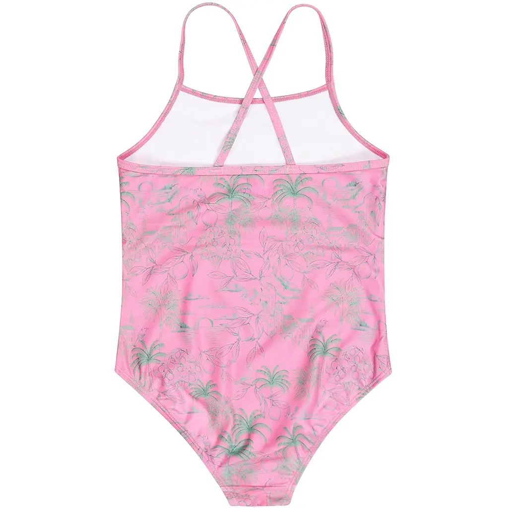 Badpak Palmas (morning glory)