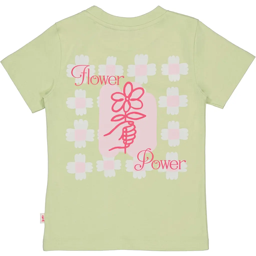 T-shirt Destiny backprint (soft green)