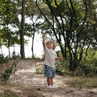 Korte broek Brady (aop blue graphic)