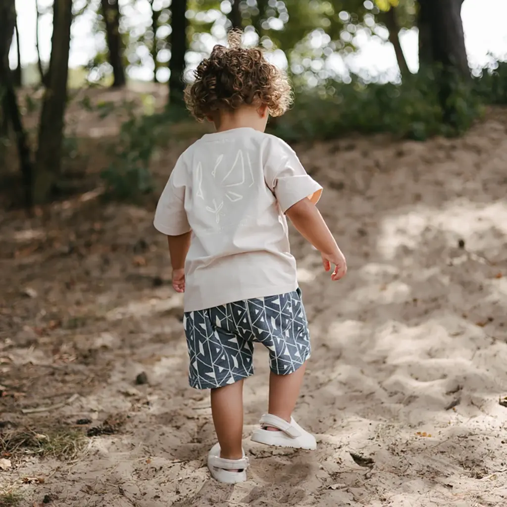 Korte broek Brady (aop blue graphic)