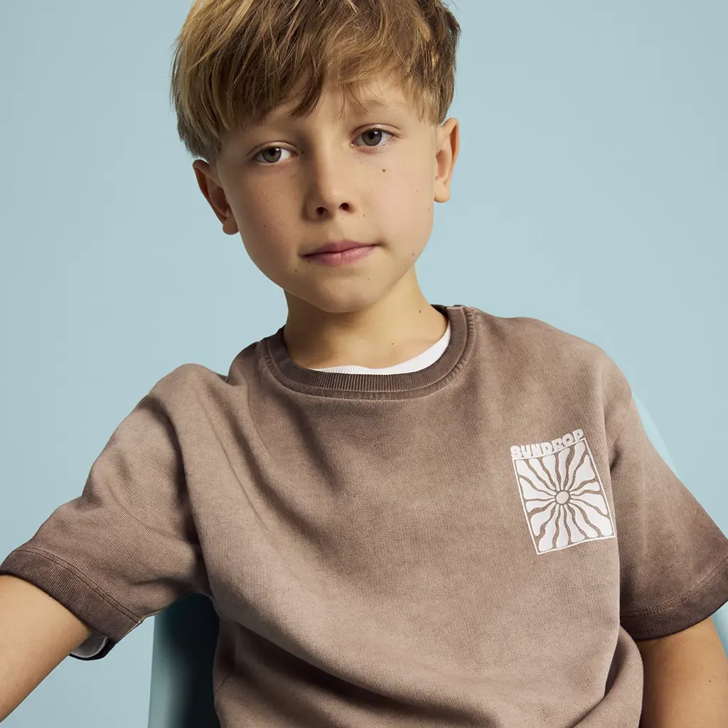 Shirt sweat Hopin (chestnut)