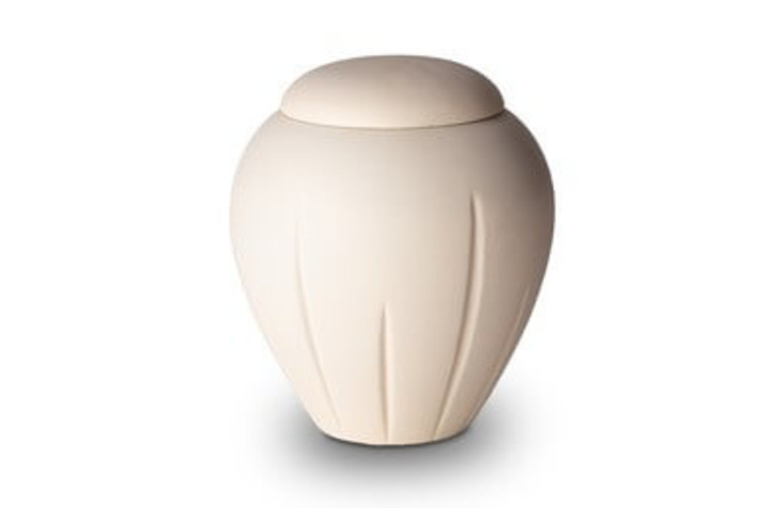 Biologische urn Beauty White