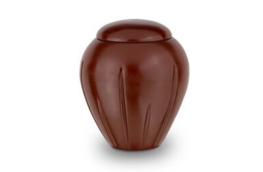 Biologische urn Beauty