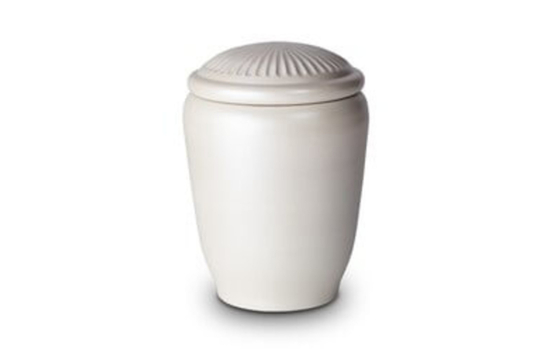 Biologische urn Wit