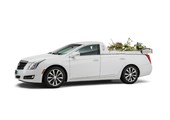 Bloemenauto Wit