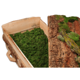 Douglas & Mos Eco Uitvaartkist