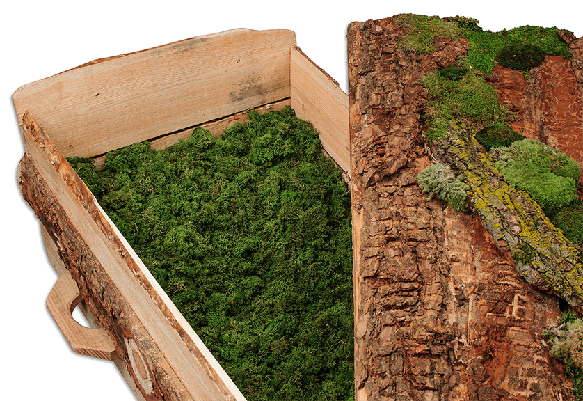 Douglas & Mos Eco Uitvaartkist