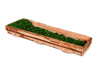 Opbaarplank Douglas Mos Eco