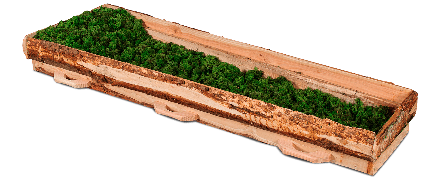 Opbaarplank Douglas Mos Eco