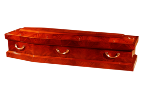 Exclusieve Wortelnoten Grafkist