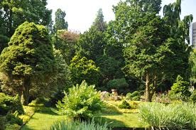 Mijn Boom, een levende herinnering