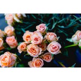 Uitvaartfotografie / uitvaartfotograaf Brons