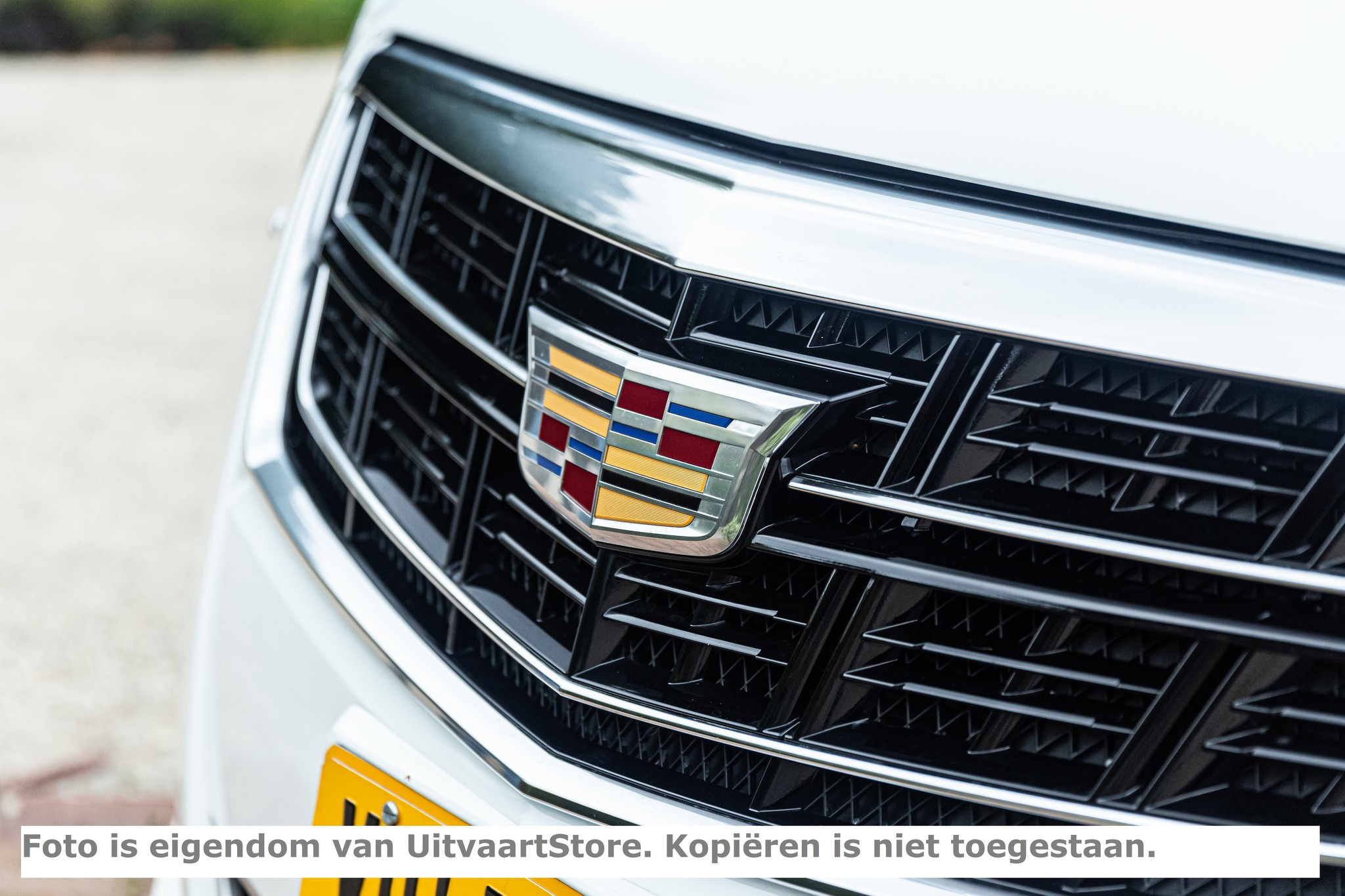 Cadillac Rouwauto Wit