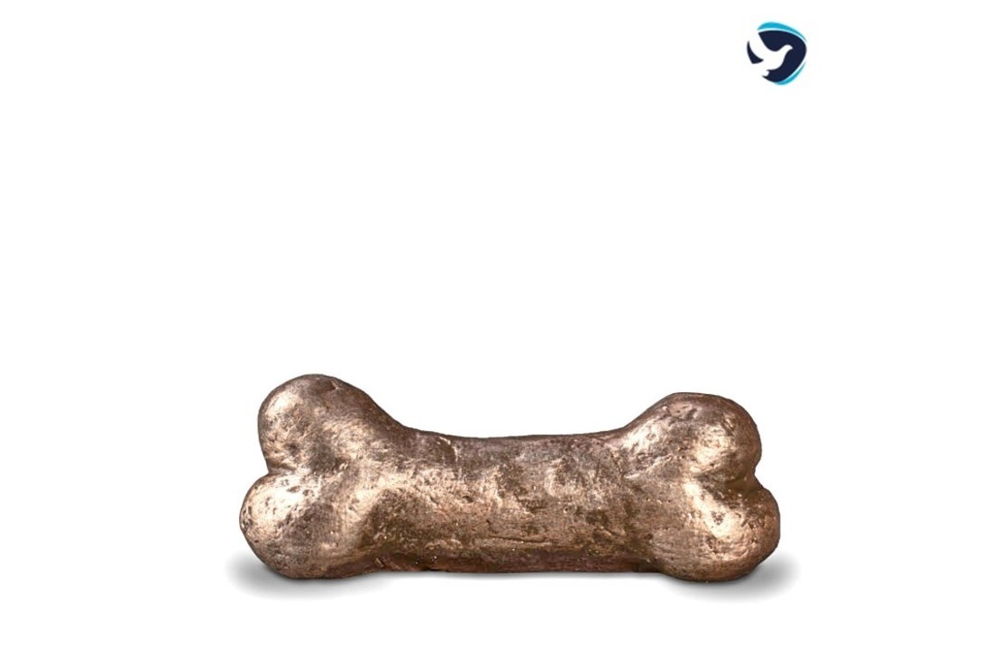 Dierenurn Bot