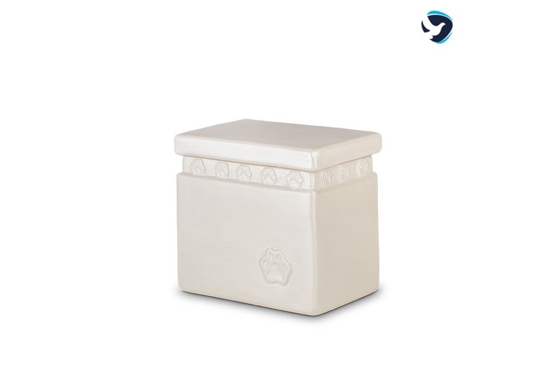 Biologische Dieren Urn Wit